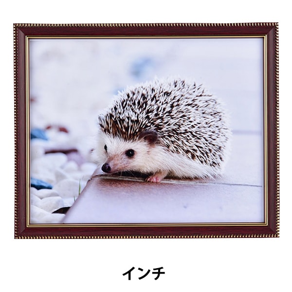 額縁と書 Amazon | 位記額/叙位叙勲額 GT24 どんす紺 UVカット強化型