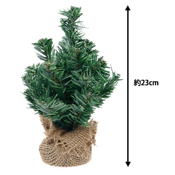 2_000000147044.jpg?1698812934