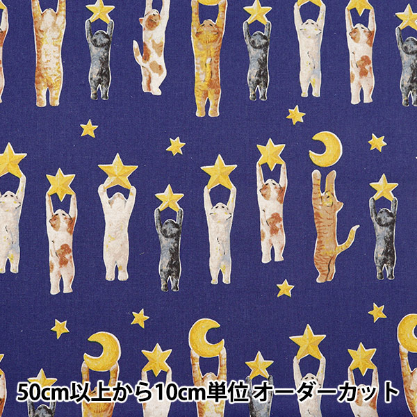 �ڿ���5����� ���� �����㥭���Х� �ͥ��Υƥ��������� EGXA-8800-2A�� KOKKA ���å�