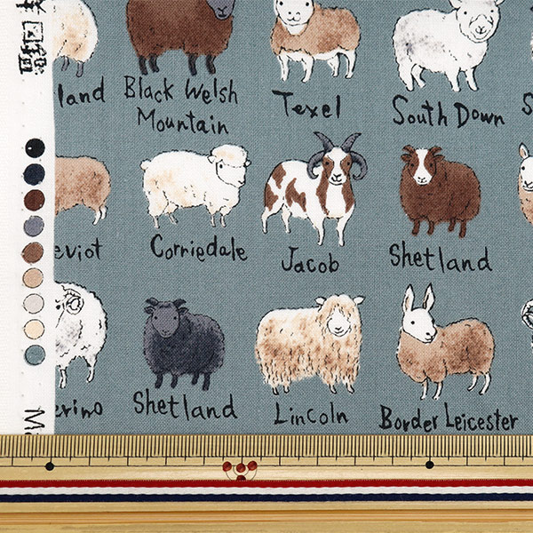 �ڿ���5����� ���� ��NOVA �������� �ӿ޴� �֥롼���졼 NSE-SHE-BGY�� KOKKA ���å� �ڥ楶��䥪�ꥸ�ʥ��