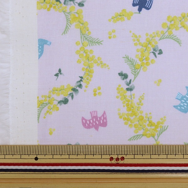 �ڸ��ʸ¤�ۡڿ���5����� ���� �����㥷������ �����ɽ��ù� �ߥ⥶������ �ԥ󥯥ۥ磻�� SHUMIO-C��