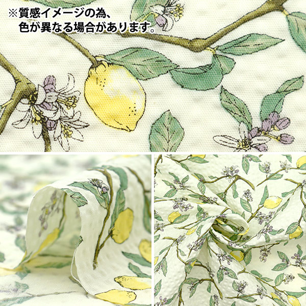 数量5から】 生地 『リップルプリント レモン グリーン KTS7033-D