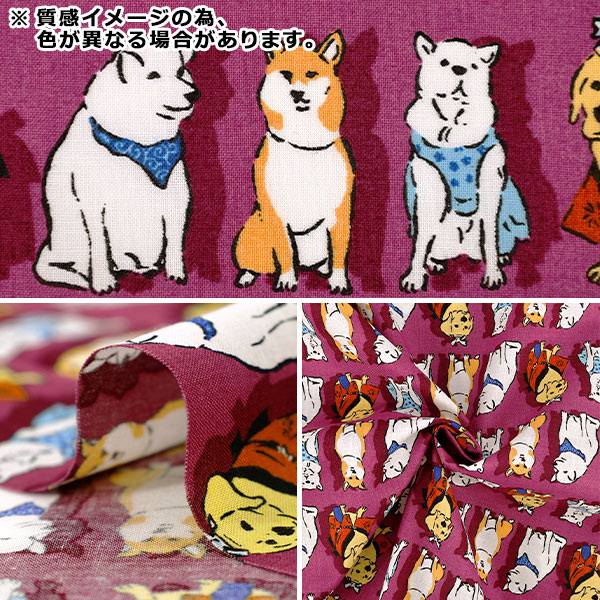 数量5から】 生地 『スケア 面白モダン 犬祭り サクラ B850637Z-1-3