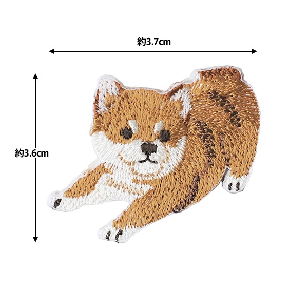 2_000000159145.jpg?1726020995