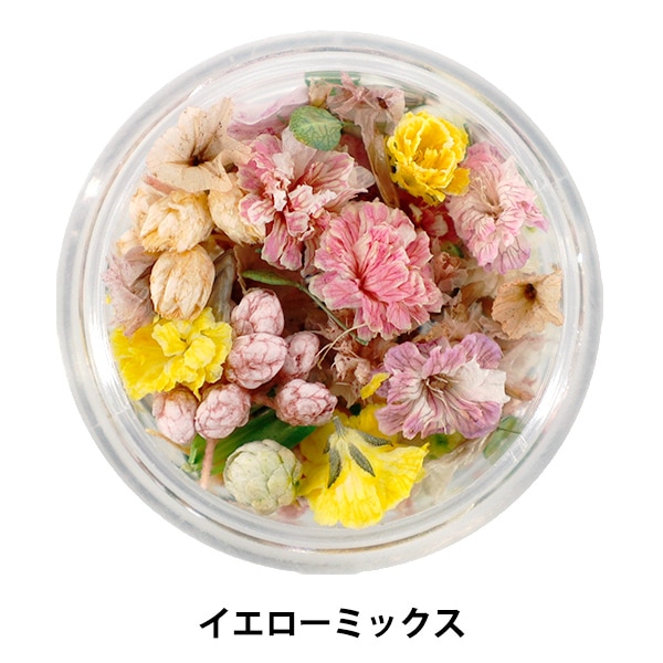 k.flower/mina様♡【ドライフラワー】アリッサム （ 687 レジン） レジン材料 『ドライフラワーカスミソウD マルベリー』 SMint