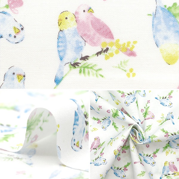 数量5から】 生地 『シーチング カラフルキャンバス 水彩インコ柄
