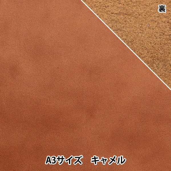 1_000000154246.jpg