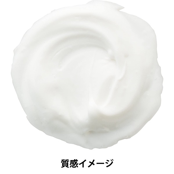 ڡȾǴ MODENA PASTE (ǥʥڡ) 250g PADICO ѥ