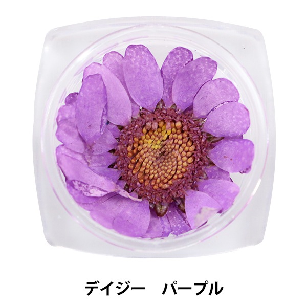 プリザーブドフラワー 『レジンフラワーパーツ シオン パープル N-65