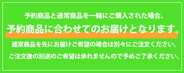 2026年 お楽しみ袋 『入園入学10点セット リボンチェック柄 2980円+税