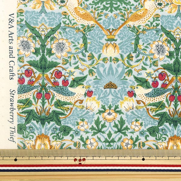 �ڿ���5����� ���� �إ������� V&A ������ť�� �饤�ȥ֥롼 VA10001-G��