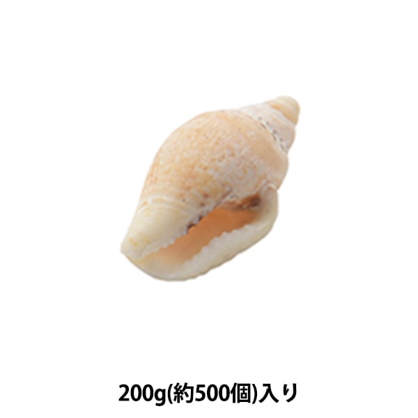 アクセサリー素材 『シェルパーツ セブビューティー 002』 フラワー