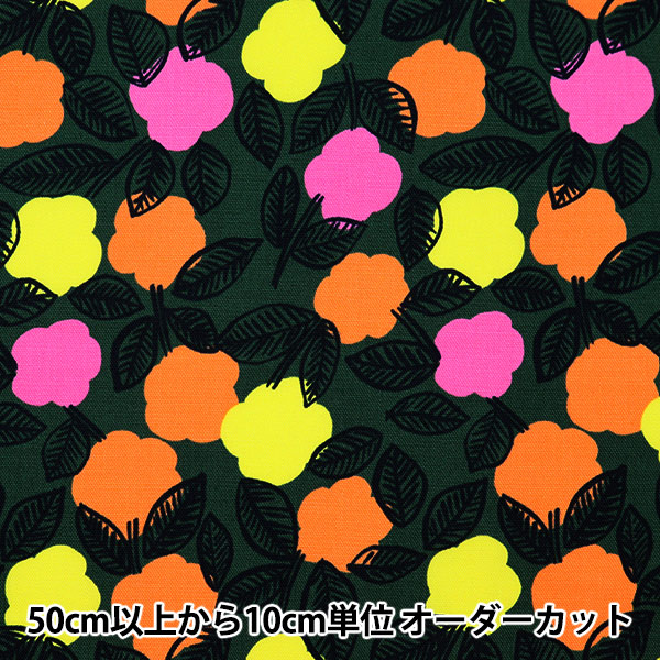 �ڿ���5����� ���� �إ������˥å� ���å��� PIKKU SAARI �� EGX-4007-3B�� KOKKA ���å�