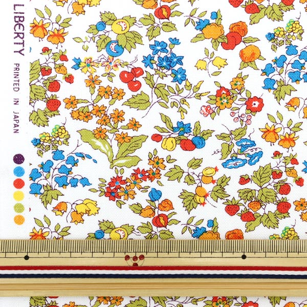 数量5から】 生地 『LIBERTY リバティプリント 11号帆布 ナンシー