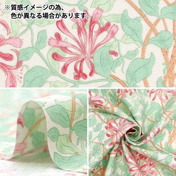 数量5から】 生地 『MODAベストオブモリス シーチング ハニーサックル