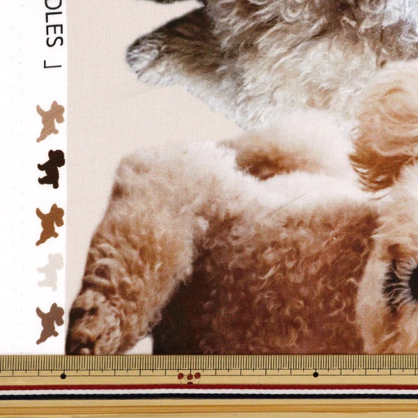 ストック生地　プードル 生地 プードルボア（5820） 1.白 オカダヤ(okadaya) 布・生地、毛糸