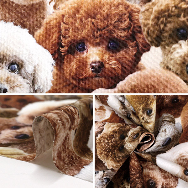 数量5から】 生地 『シーチングインク ジェットプリント トイプードル