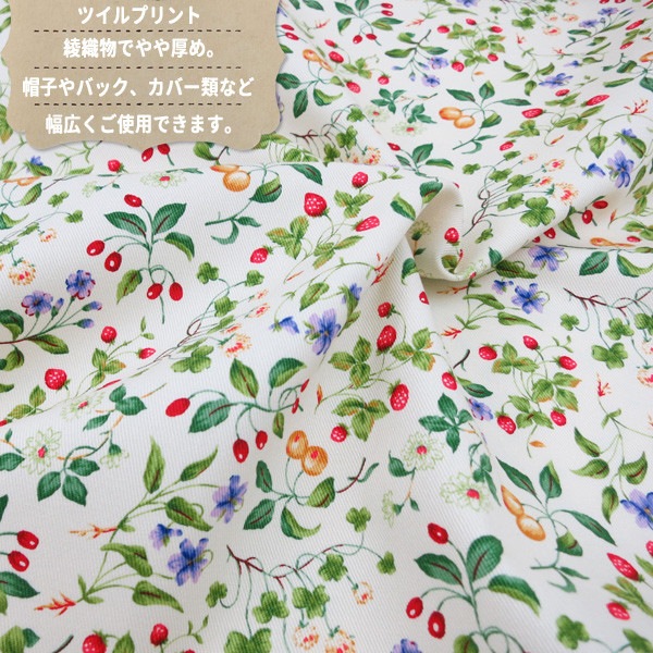 �ڿ���5����� ���� �إĥ���ץ��� �ե롼��&���� KSP4894-A�� COTTON KOBAYASHI ���åȥ󤳤Ф䤷 ��������