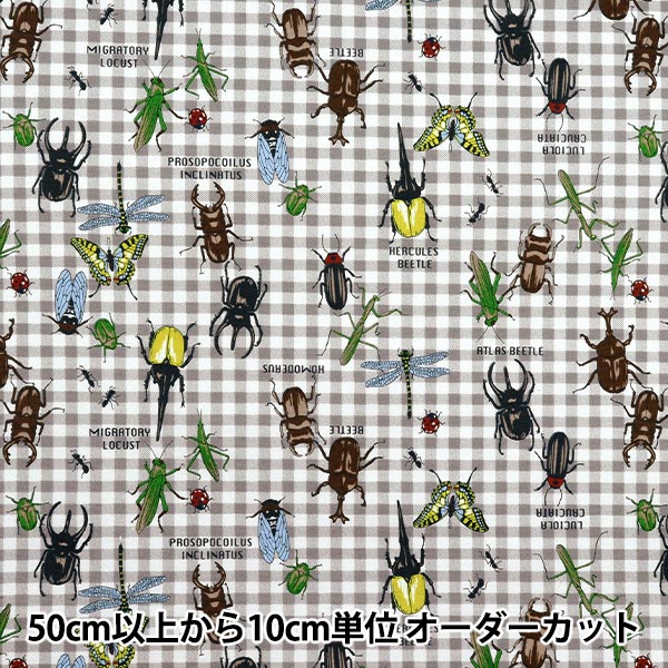 数量5から】 生地 『オックス カラフルキャンバス 昆虫図鑑柄 ブルー