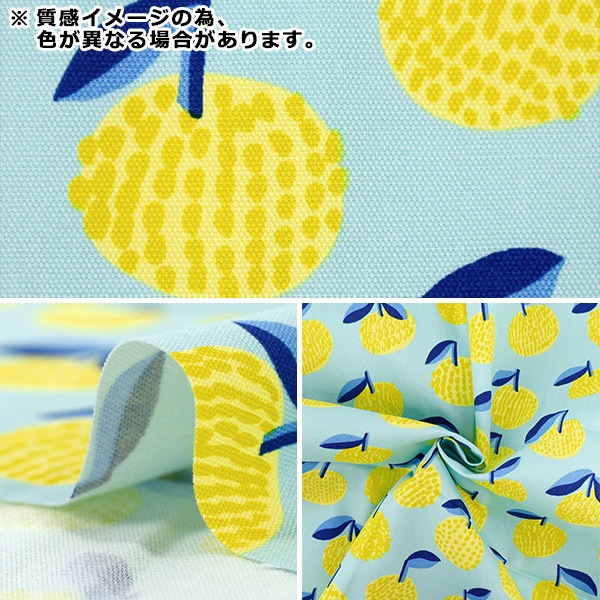 生地 『kippis (キッピス) オックス カットクロス 約108×50cm ミカン