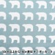 ڿ5  kippis (åԥ) å  ֥롼졼 KPO-06P