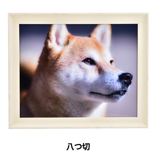 大型デッサン額 額 『デッサン額 八ツ切 柴犬 アイボリー 8158』 画材・文具,額
