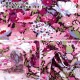 �ڿ���5����� ���� �إ�Хƥ����ե��֥�å��� 60/2ŷ�� ������ 3639005-VK�� Liberty Japan ��Хƥ�����ѥ�