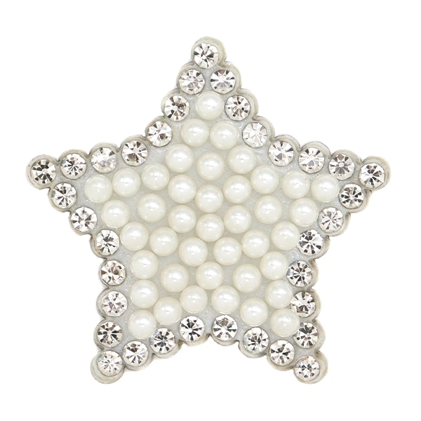 ワッペン 『図鑑コレクション Tレックスの化石 ZCW-15