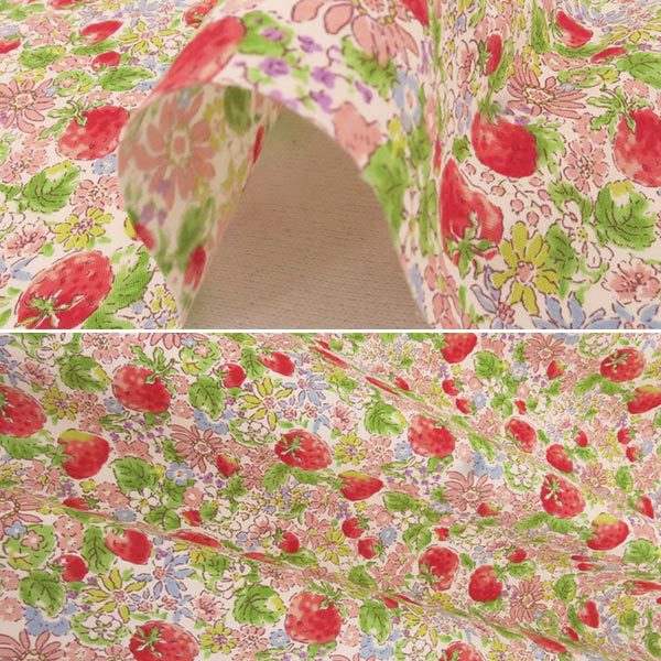 �ڿ���5����� ���� �إ֥����� �������Ȳ� KTS6025-A�� COTTON KOBAYASHI ���åȥ󤳤Ф䤷 ��������