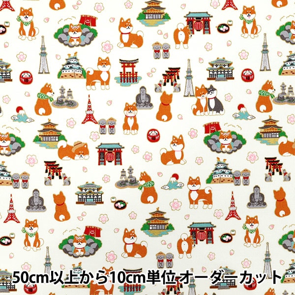 キングページ KING CAGE Longer Thing Cage – SimWorks Online Store