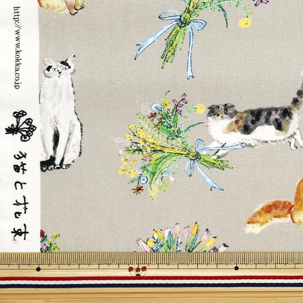 外国産猫☆通常はがきＡ（インクジェット紙）４８☆ Amazon | ふじさん企画 試し刷り コピー用紙 日本製 「厚口