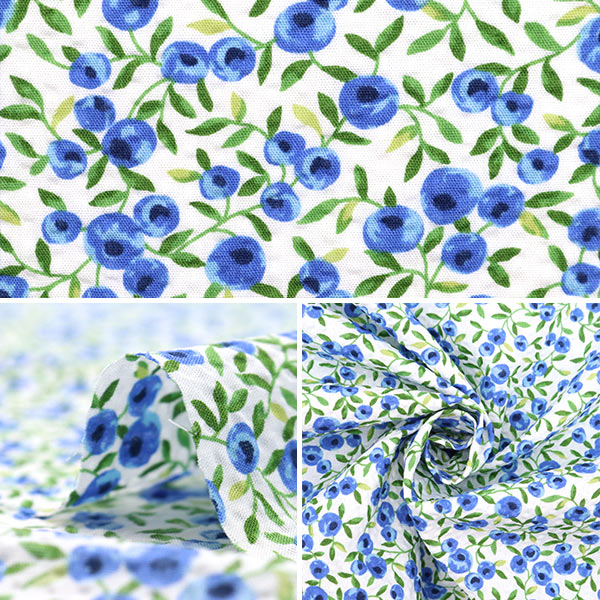 数量5から】 生地 『リップルプリント 大人柄リップル 木の実 ブルー  