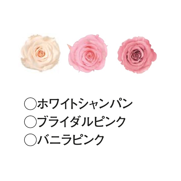 Micro Rose Pearl White など9箱まとめ売り 1/12迄 4000円相当ヘッドホンプレゼント！】 Roland LX9 PWS 白塗り