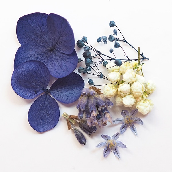 レジン材料 『ドライフラワー フルレット シリーズ1 ブルー』 SMint