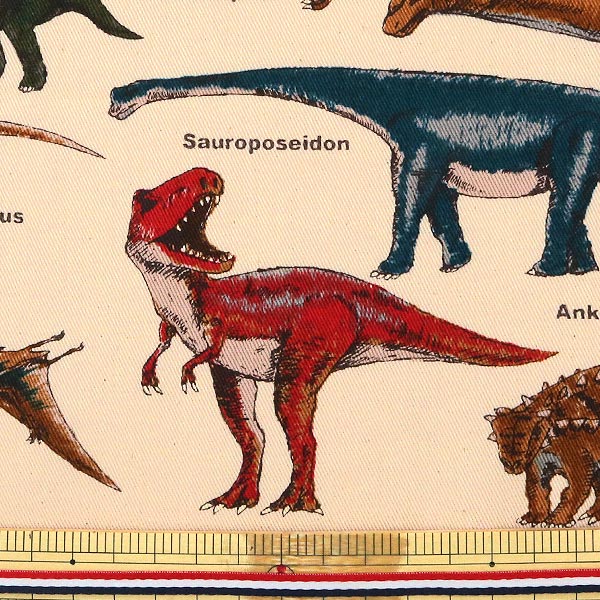 �ڿ���5����� ���� �إĥ��� ��ε�ץ��� A (�١�����)�� COTTON KOBAYASHI ���åȥ󤳤Ф䤷 ��������