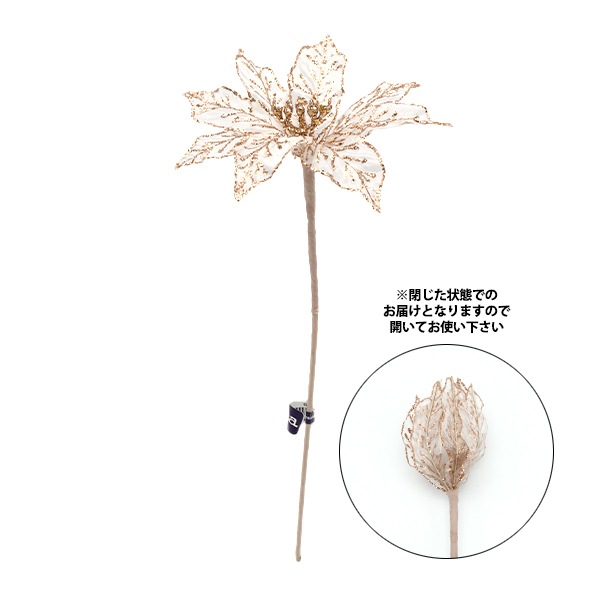 ¤�� ���륯�ե� �إݥ��󥻥��� �����ڥ� AX60072�� asca ����������