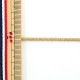 ڿ5 ݤҤ H-1100  2mm 01ֿ Elite ꡼