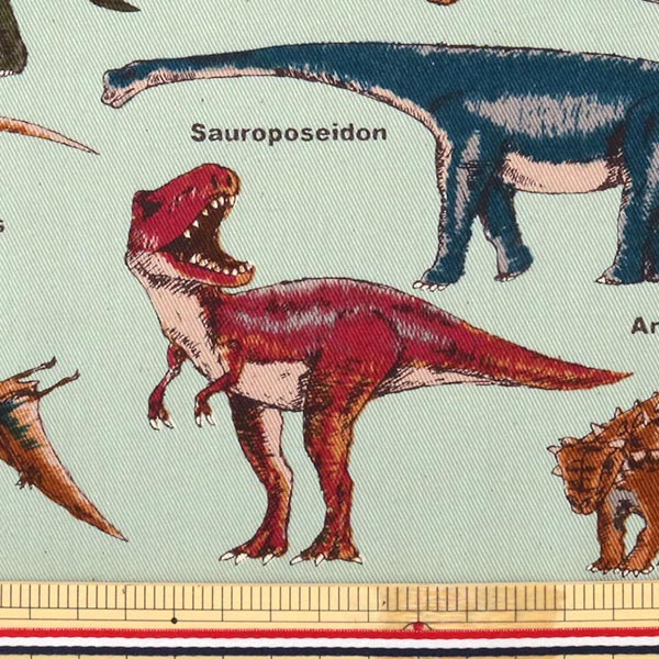 �ڿ���5����� ���� �إĥ��� ��ε�ץ��� B (�֥롼)�� COTTON KOBAYASHI ���åȥ󤳤Ф䤷 ��������