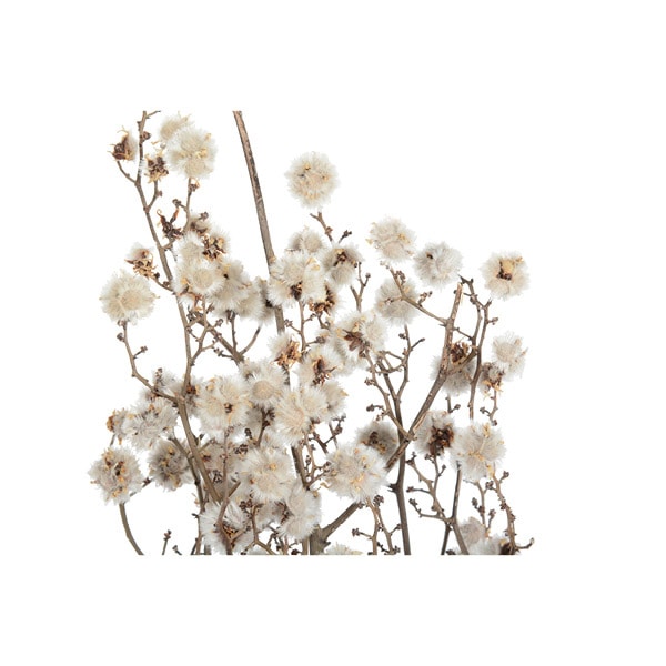 専用＊ラムズイヤー＆グニユーカリ　白シルバードライフラワータペストリース 専用＊ラムズイヤー＆グニユーカリ 白シルバー ドライフラワータペストリー