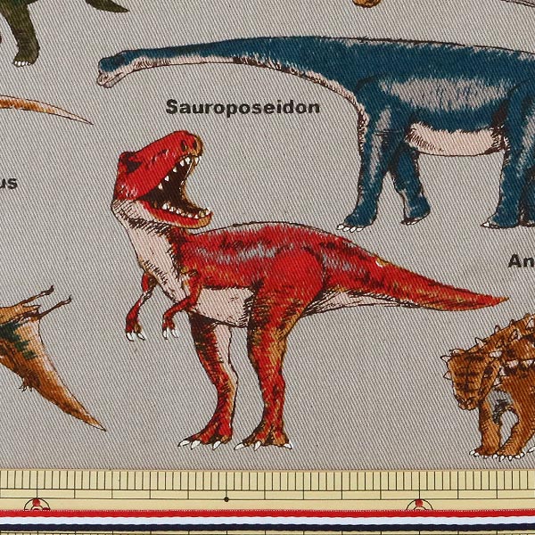 �ڿ���5����� ���� �إĥ��� ��ε�ץ��� C (���졼)�� COTTON KOBAYASHI ���åȥ󤳤Ф䤷 ��������