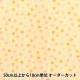 �ڿ���5����� ���� �إݥץ�� �ۡ��ߡ����쥯����� �ѥ��ƥ�ϡ��� DH13097S-E��