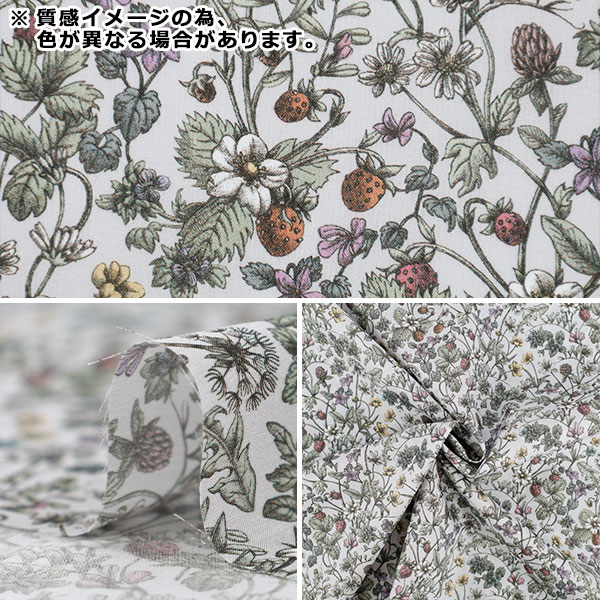 数量5から】 生地 『リバティ・ファブリックス タナローン