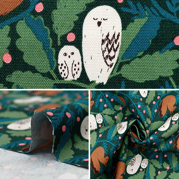 生地 『kippis (キッピス) オックス カットクロス 約108×50cm 森の平和