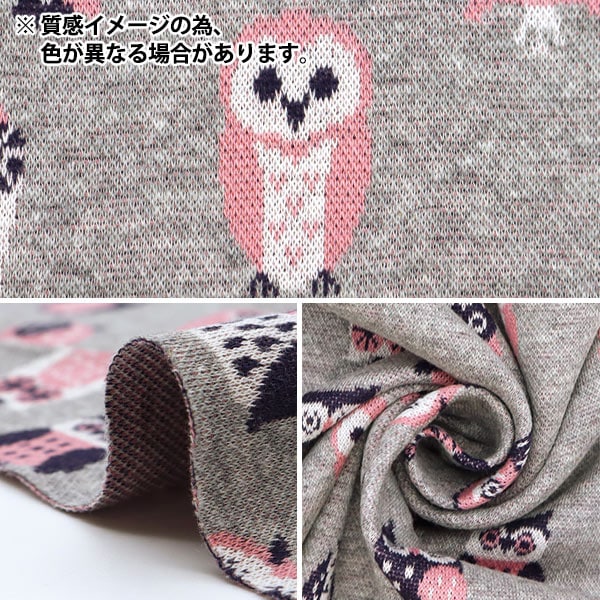 ☆新品☆フクロウ柄ニット A(LeFRUDE)E - フクロウクルーネックニット サックスブルー 【A