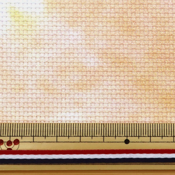 刺しゅう布 『Charles CRAFT PRINTED AIDA(プリント アイーダ