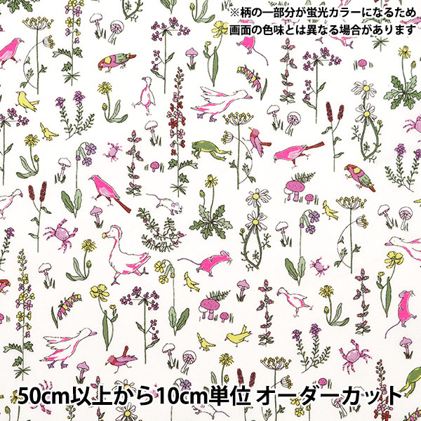 1_000000150261.jpg