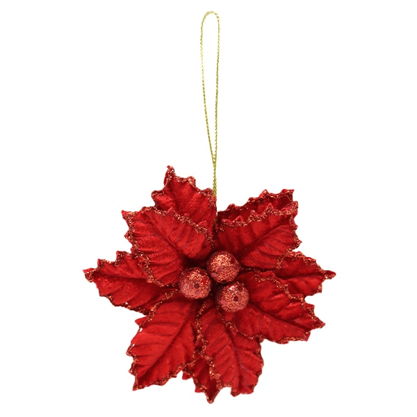 1_000000135661.jpg?1678209902