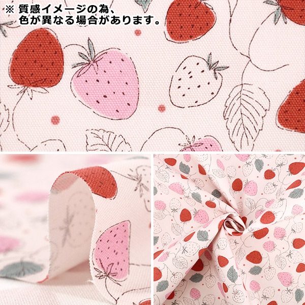 数量5から】 生地 『カラフルキャンバス シンプルベリー アイボリー