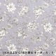 �ڿ���5����� ���� ��W������ ���������� ���졼 AP52209-E��