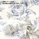 �ڿ���5����� ���� ��W������ ���������� ���졼 AP52209-E��